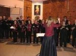 camerata sariensis